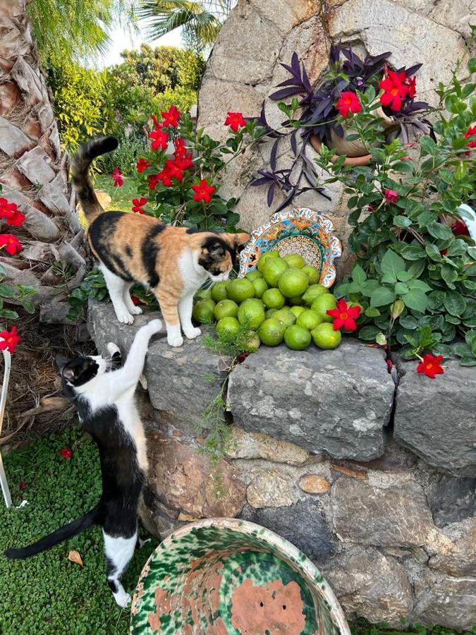 タオルミーナ La Capanna Di Giuseppe E Maria Bed & Breakfast エクステリア 写真