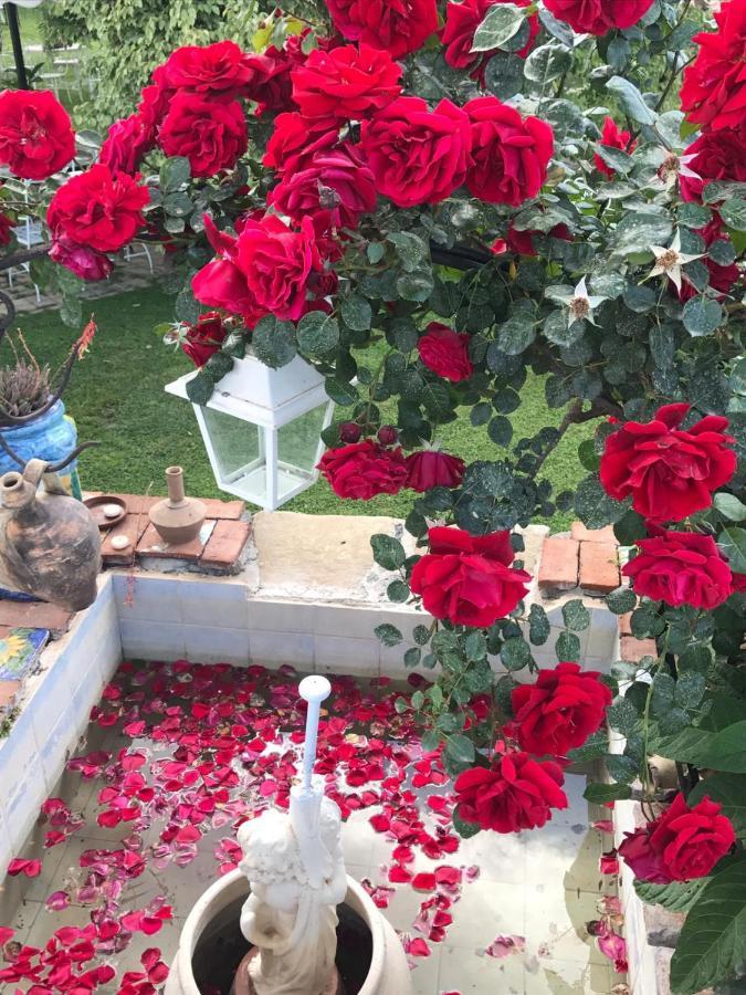 タオルミーナ La Capanna Di Giuseppe E Maria Bed & Breakfast エクステリア 写真